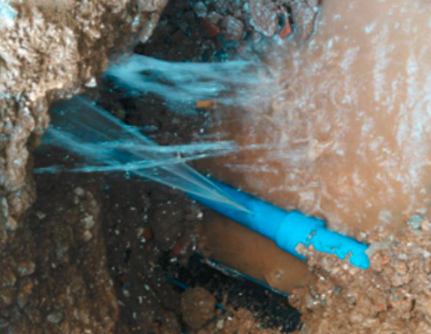 1766455874180690_1658478110402430.jpg 1658478110402430.jpg